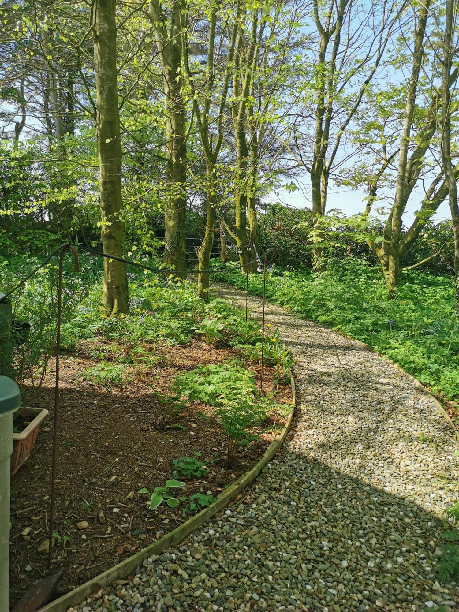 Doughery Den The Dark Hedges Hideaway Armoy Exterior photo